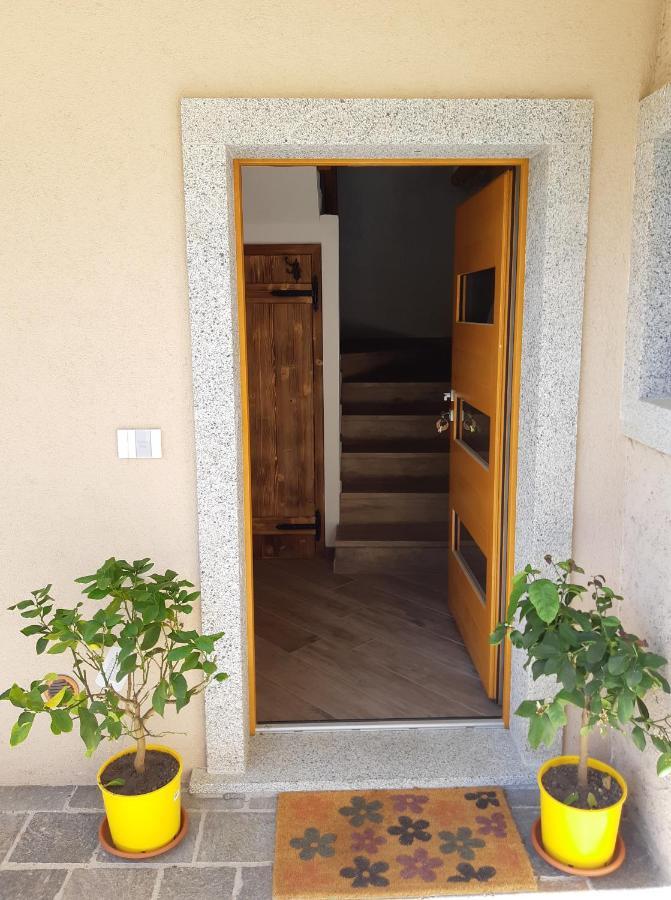 شقة Ledro Nest ميتزولاغو المظهر الخارجي الصورة